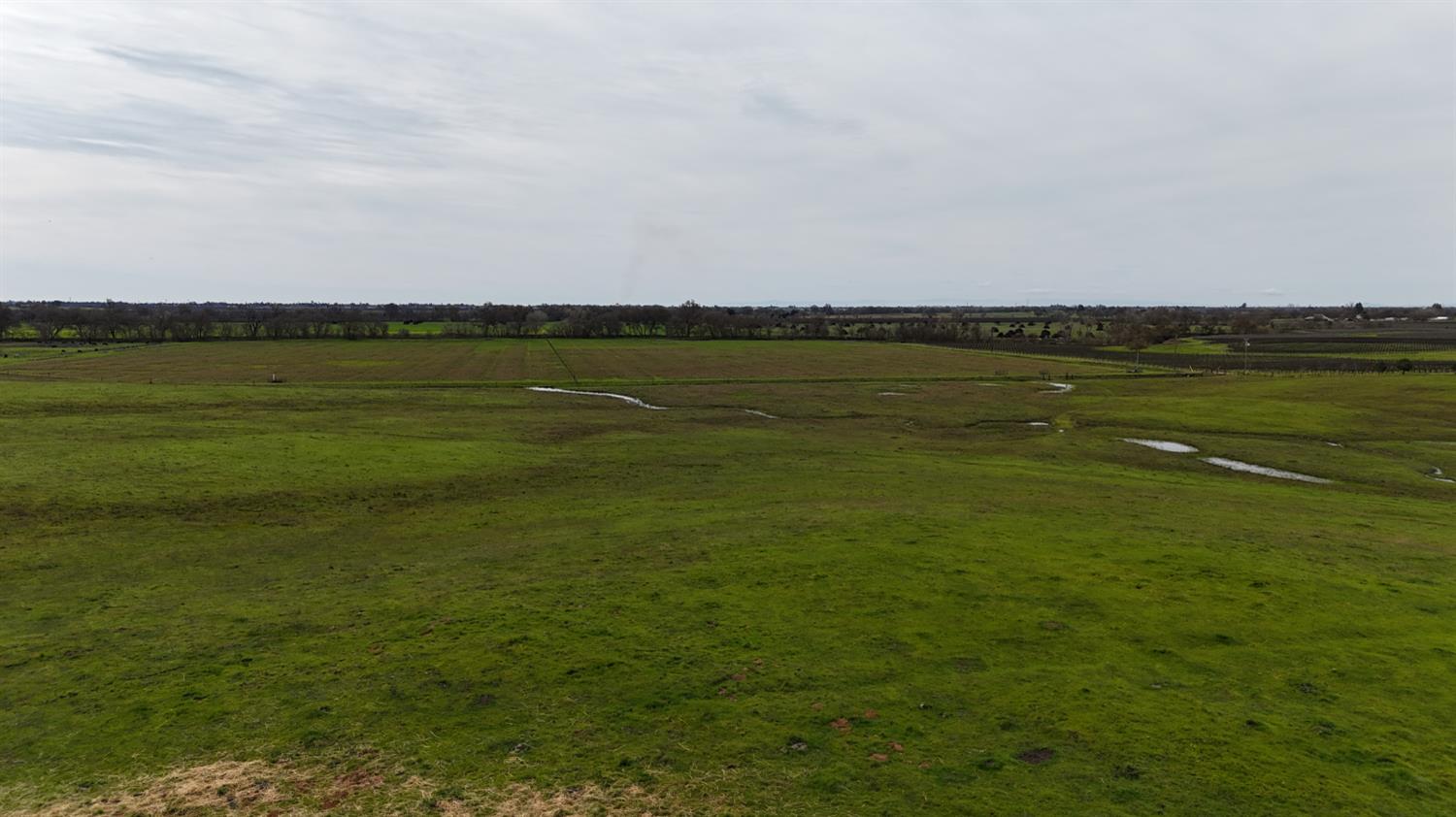 13229 Clay Station Road Galt, CA 95632 - Photo 45 of 65