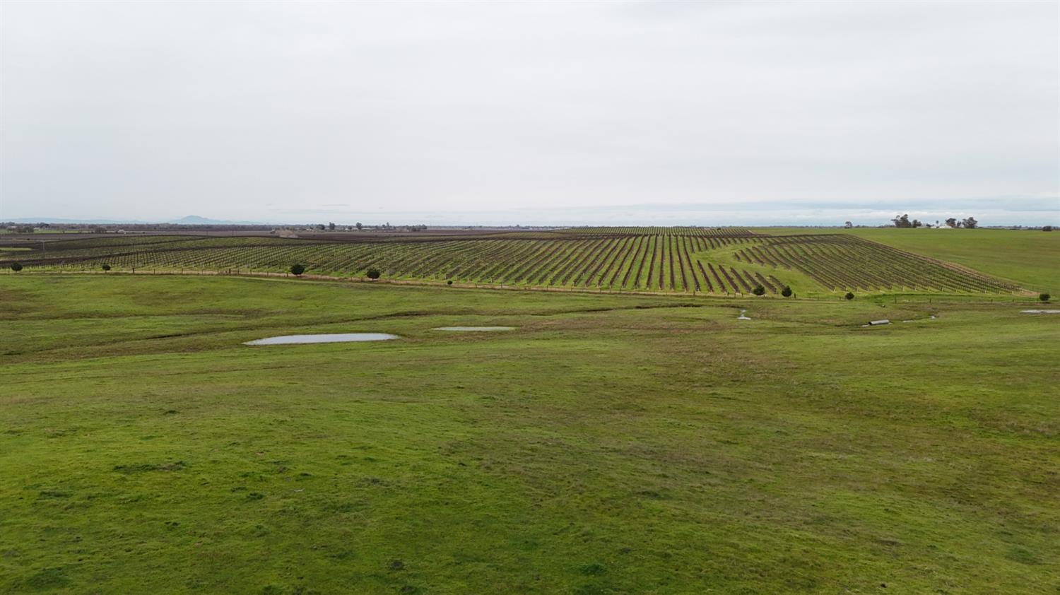 13229 Clay Station Road Galt, CA 95632 - Photo 46 of 65