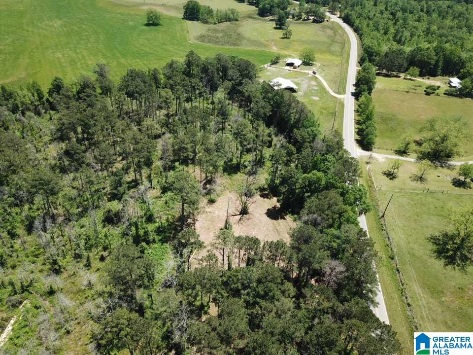 7 County Road, Unit 152 Thomasville, AL 36784 - Photo 7 of 11