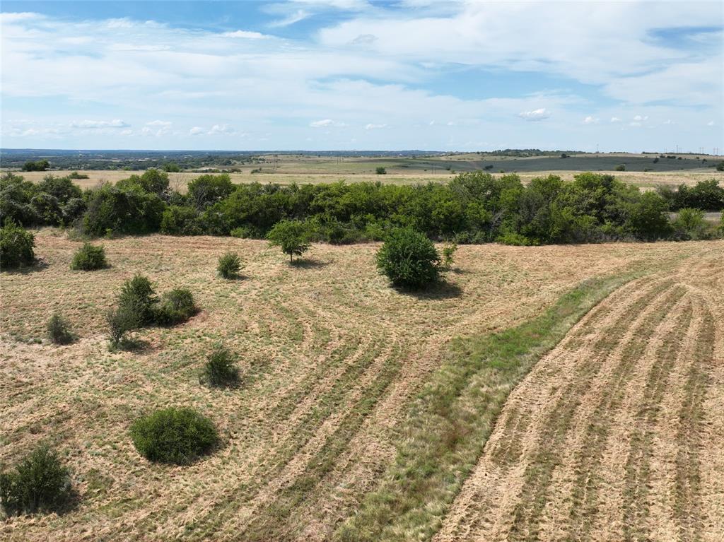 5885 E Old Springtown Road Weatherford, TX 76085 - Photo 6 of 9 a view of a dry yard with wooden fence