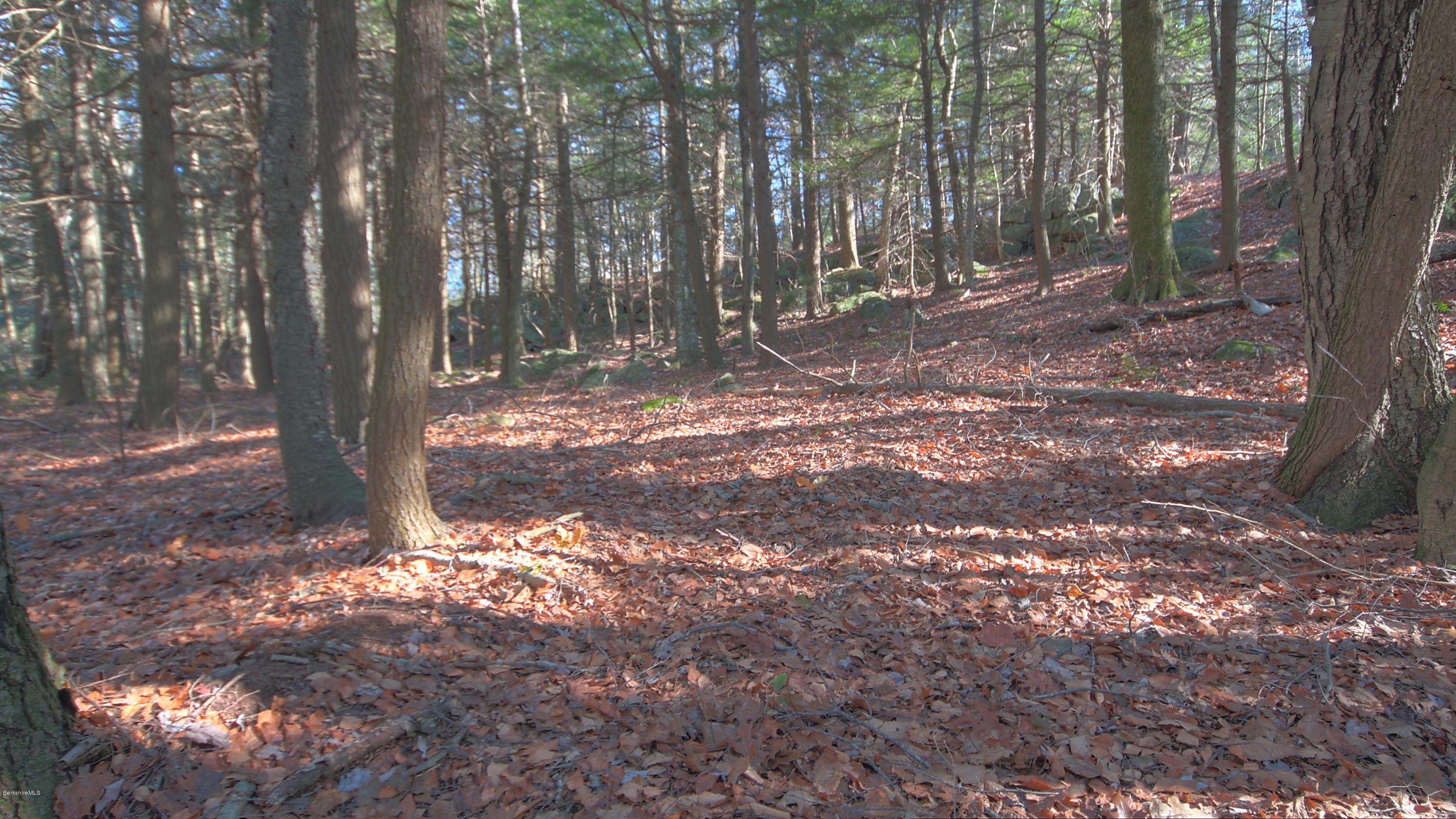 Stanley Road East Otis, MA 01029 - Photo 4 of 11 excellent setting