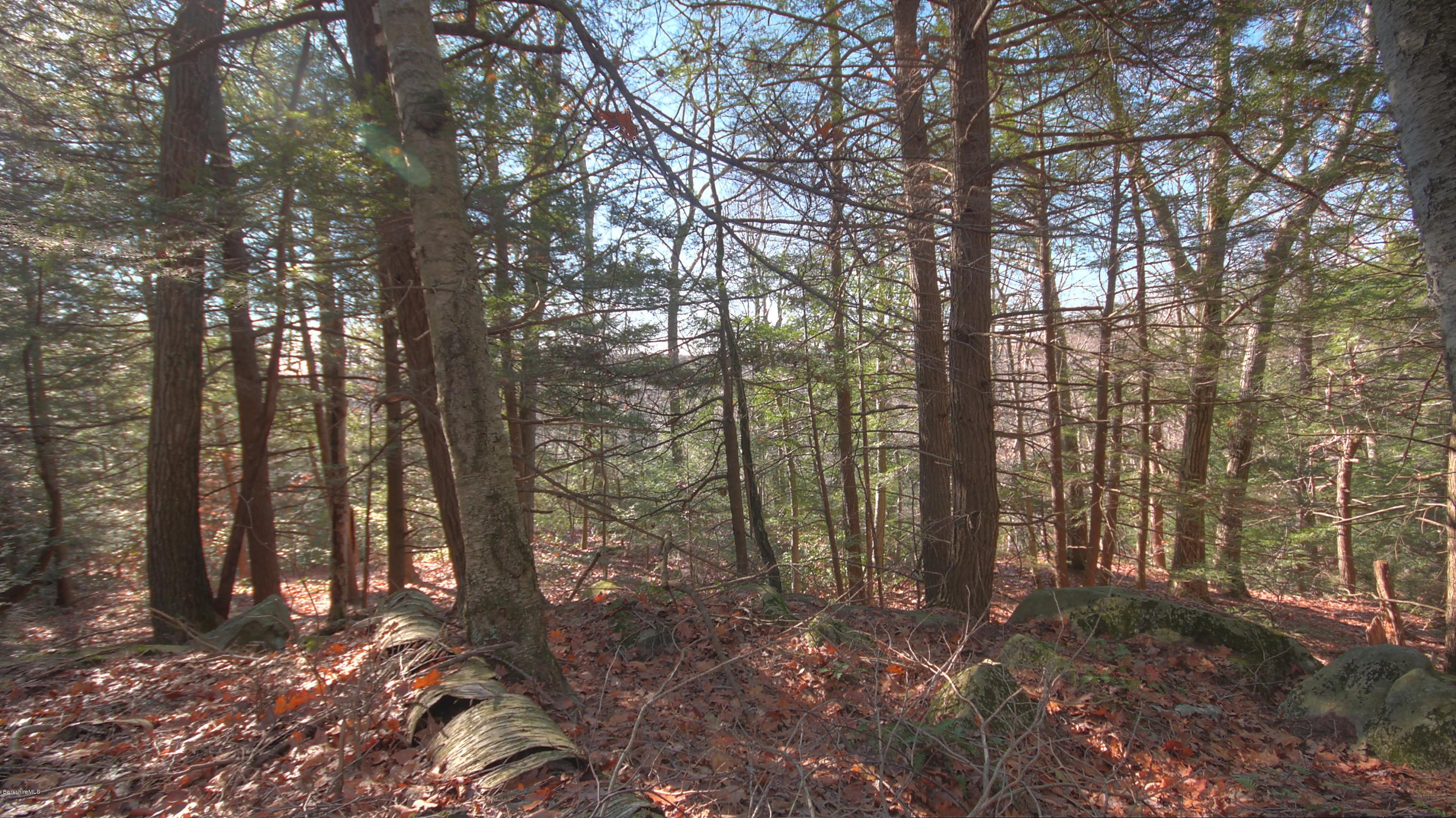 Stanley Road East Otis, MA 01029 - Photo 5 of 11 potential long ditance vie