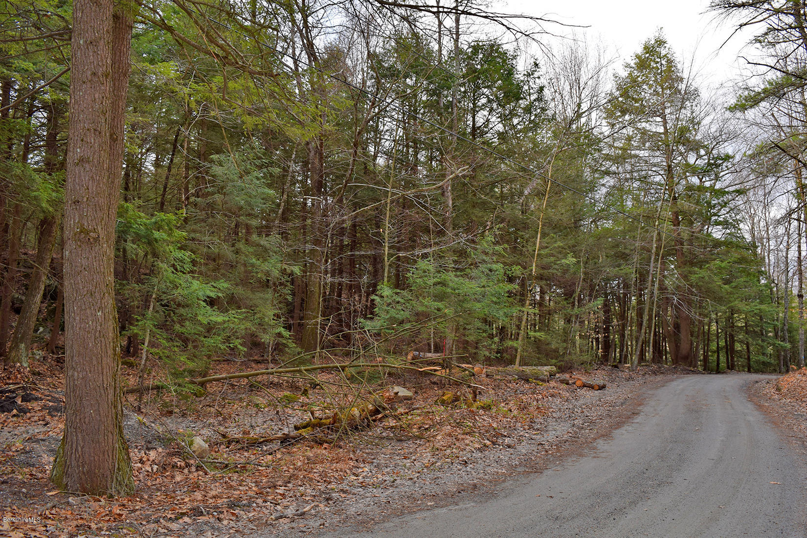 Stanley Road East Otis, MA 01029 - Photo 9 of 11 road view