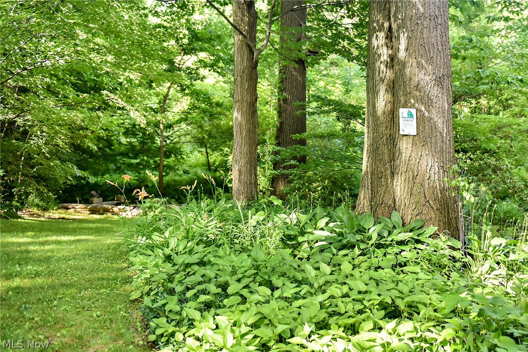 8567 Price Road Ravenna, OH 44266 - Photo 21 of 30