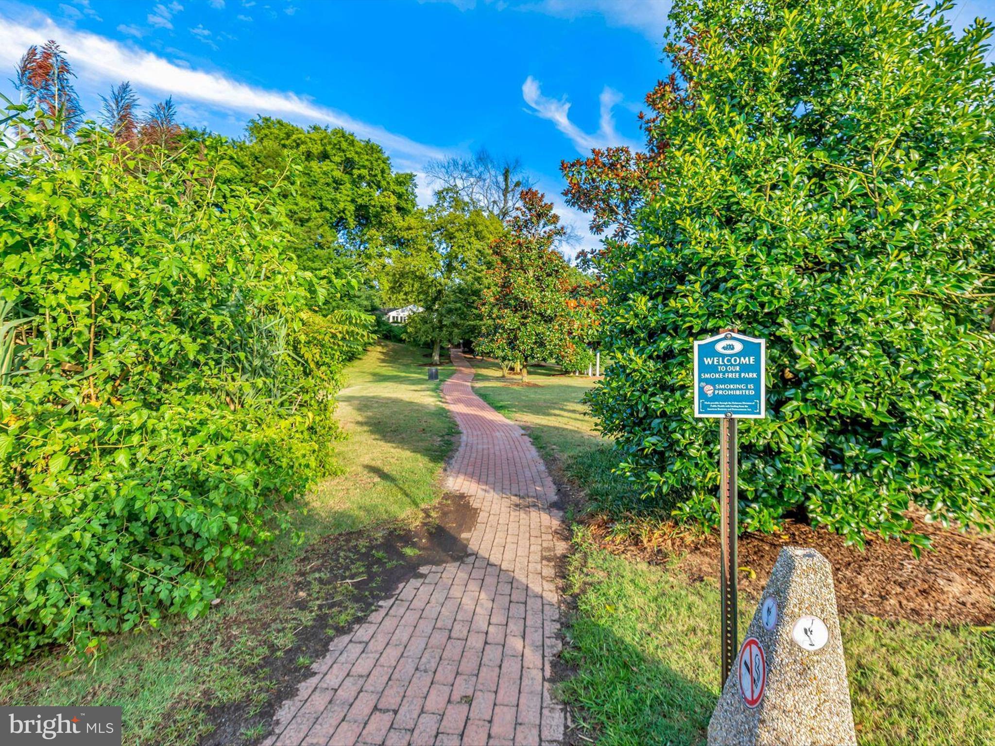 303 Valley Road Milton, DE 19968 - Photo 62 of 72 a view of a back yard