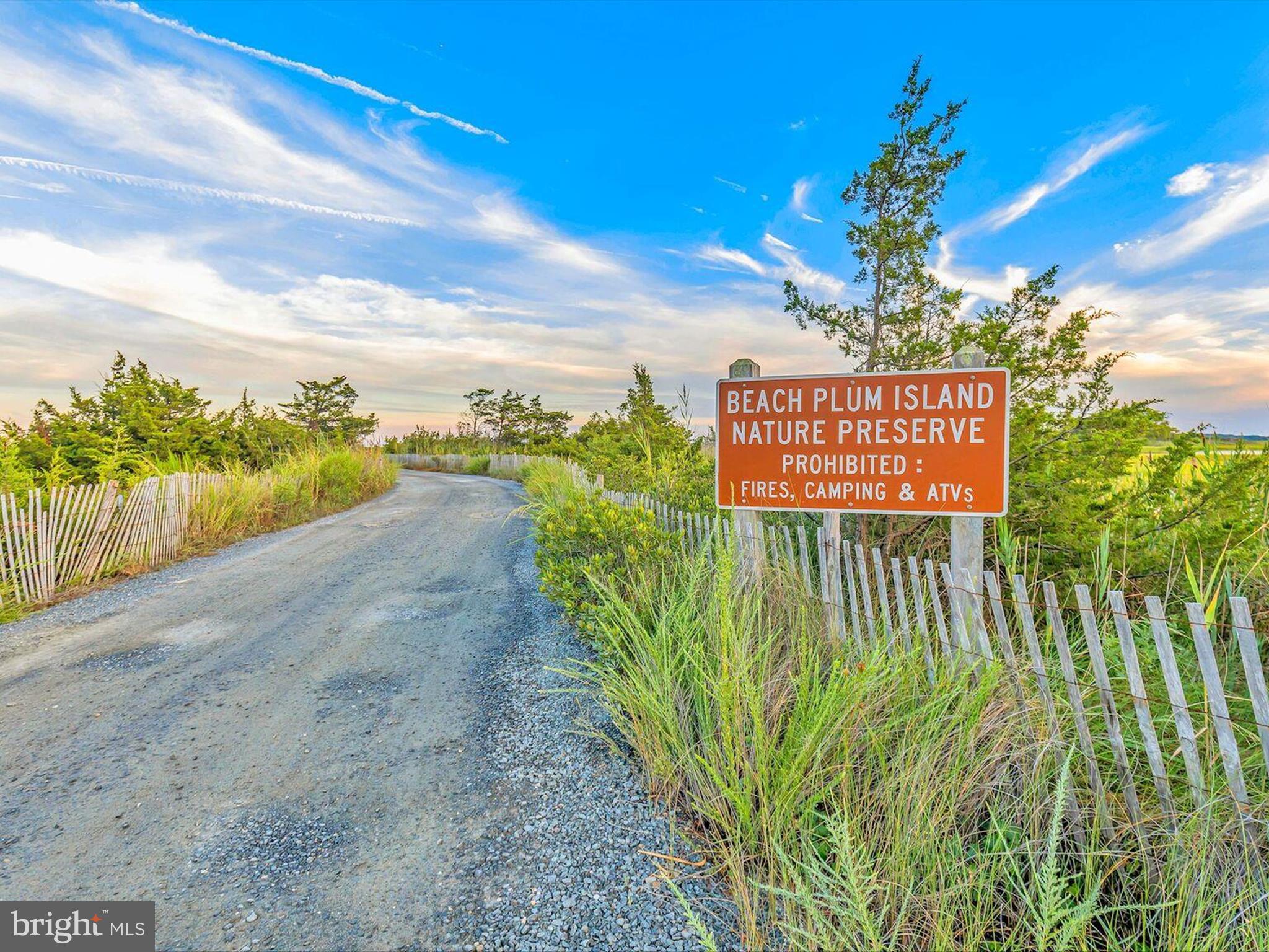 303 Valley Road Milton, DE 19968 - Photo 67 of 72 a view of a street with a building in the background