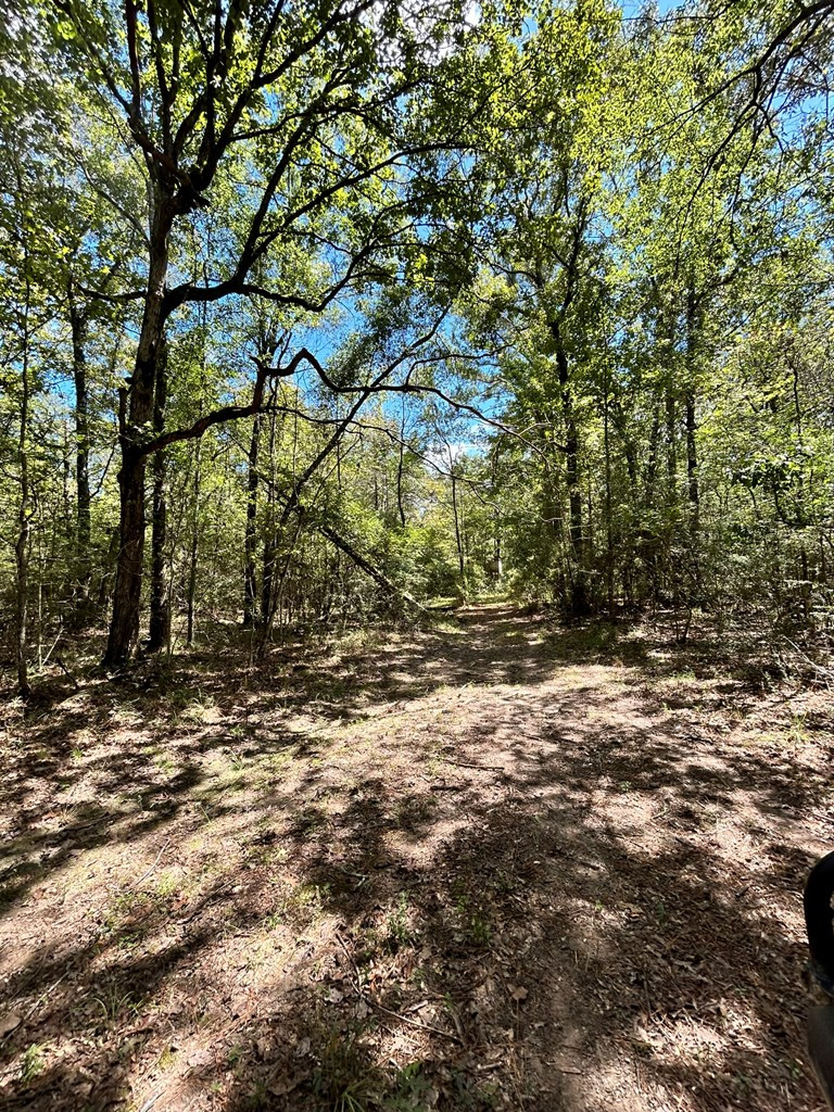 6316 Adams Road Smithdale, MS 39664 - Photo 13 of 28 Photo 13