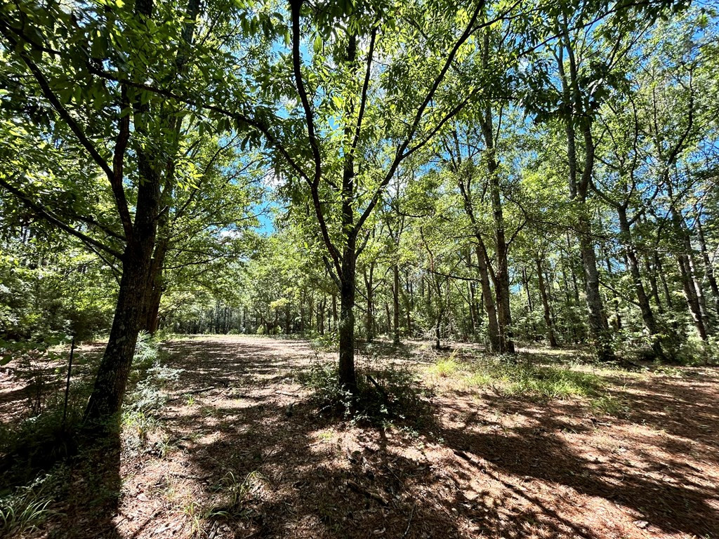 6316 Adams Road Smithdale, MS 39664 - Photo 15 of 28 Photo 15