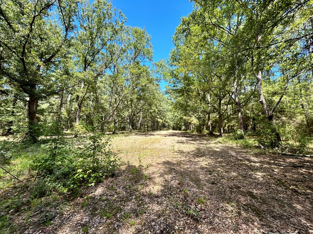 6316 Adams Road Smithdale, MS 39664 - Photo 17 of 28 Photo 17