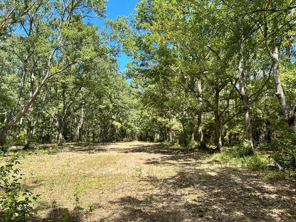 6316 Adams Road Smithdale, MS 39664 - Photo 18 of 28 Photo 18