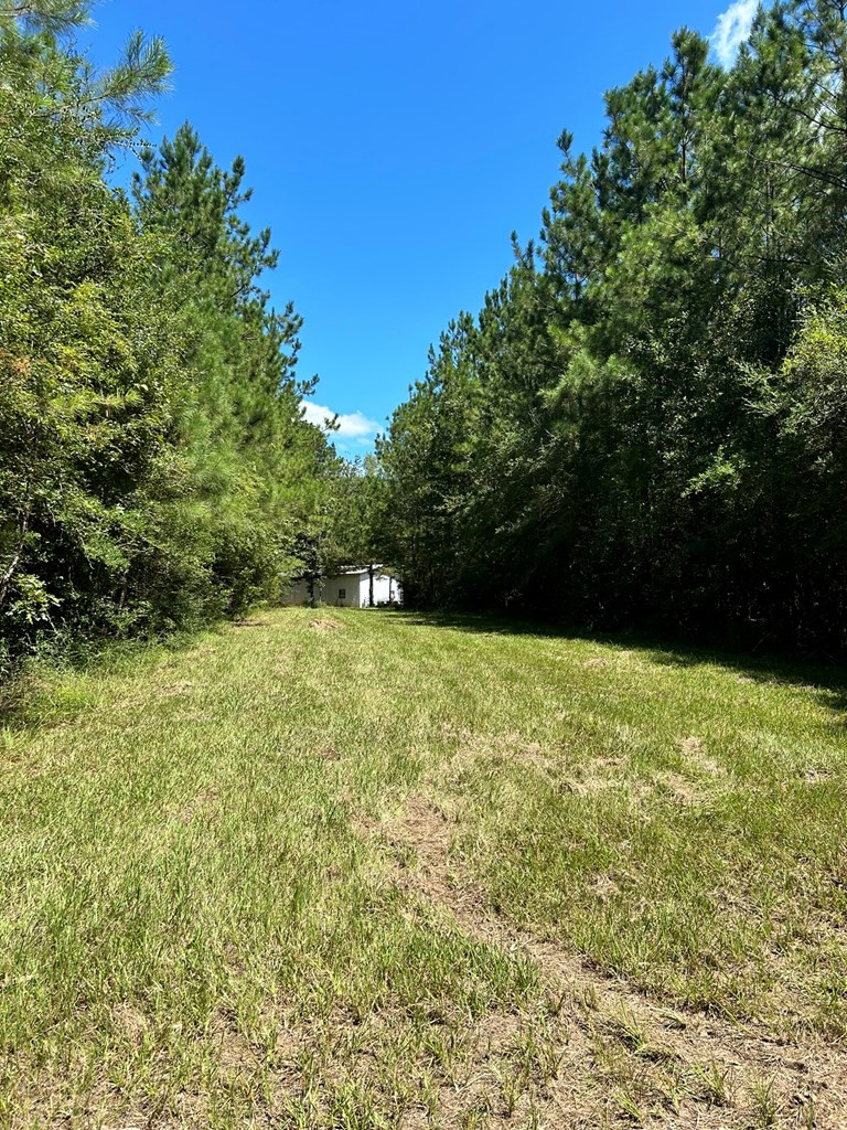 6316 Adams Road Smithdale, MS 39664 - Photo 19 of 28 Photo 19