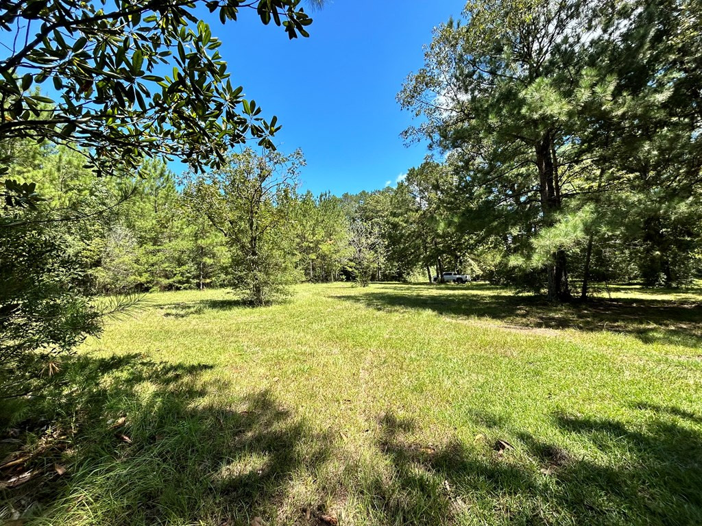 6316 Adams Road Smithdale, MS 39664 - Photo 20 of 28 Photo 20