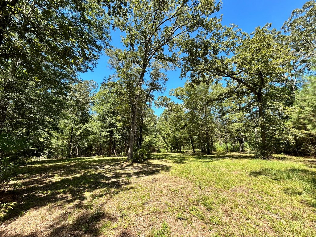 6316 Adams Road Smithdale, MS 39664 - Photo 2 of 28 Photo 2