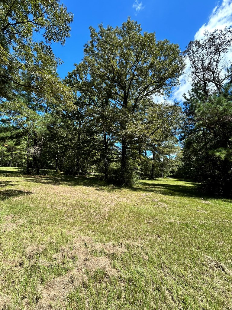6316 Adams Road Smithdale, MS 39664 - Photo 22 of 28 Photo 22