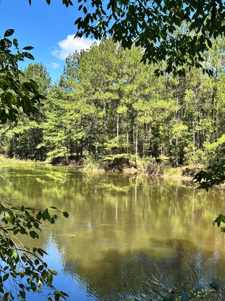 6316 Adams Road Smithdale, MS 39664 - Photo 24 of 28 Photo 24