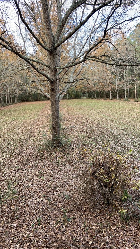 6316 Adams Road Smithdale, MS 39664 - Photo 28 of 28 Photo 28