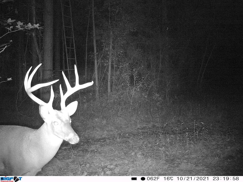 6316 Adams Road Smithdale, MS 39664 - Photo 3 of 28 Photo 3