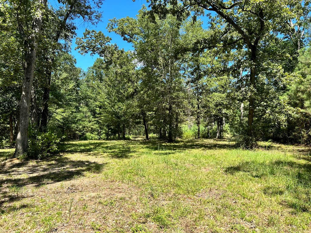 6316 Adams Road Smithdale, MS 39664 - Photo 8 of 28 Photo 8