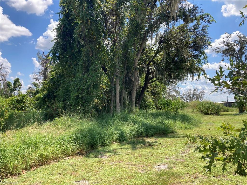 30445 Holly Road Punta Gorda, FL 33982 - Photo 13 of 15 a view of a garden