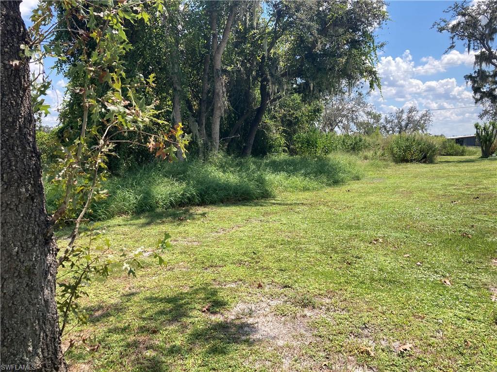 30445 Holly Road Punta Gorda, FL 33982 - Photo 15 of 15 a view of a yard with an trees