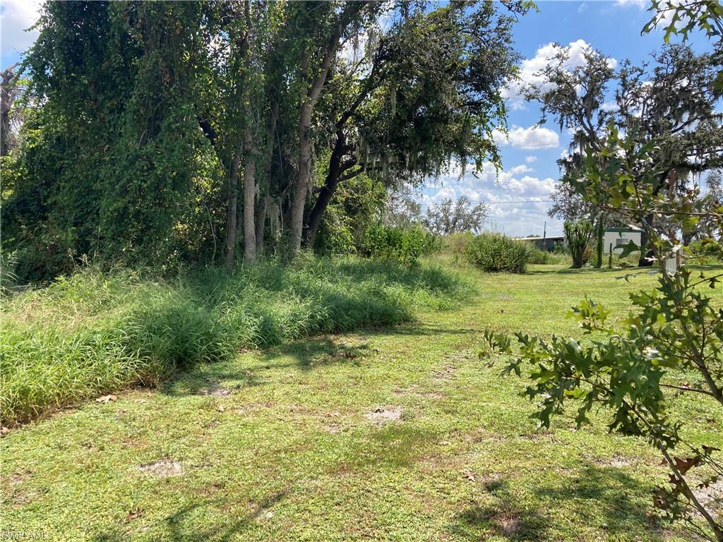 30445 Holly Road Punta Gorda, FL 33982 - Photo 3 of 15 a view of a garden with a tree