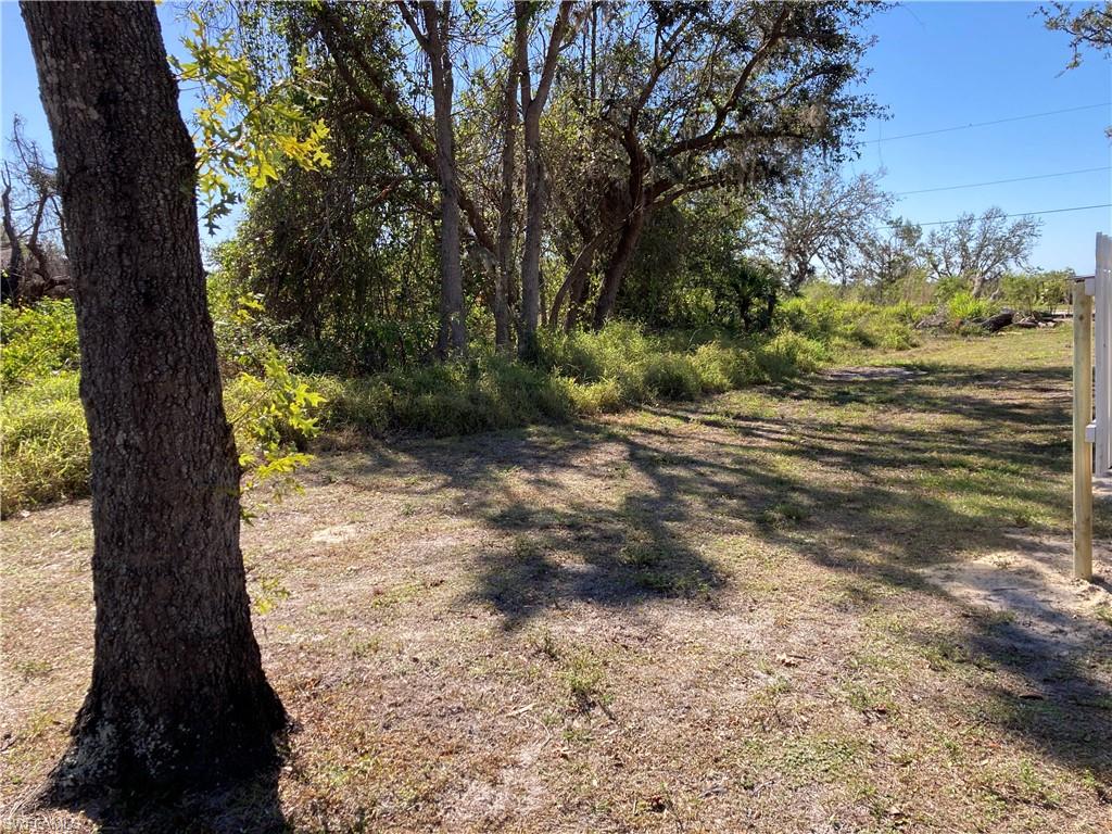 30445 Holly Road Punta Gorda, FL 33982 - Photo 7 of 15 a view of a yard with plants and trees