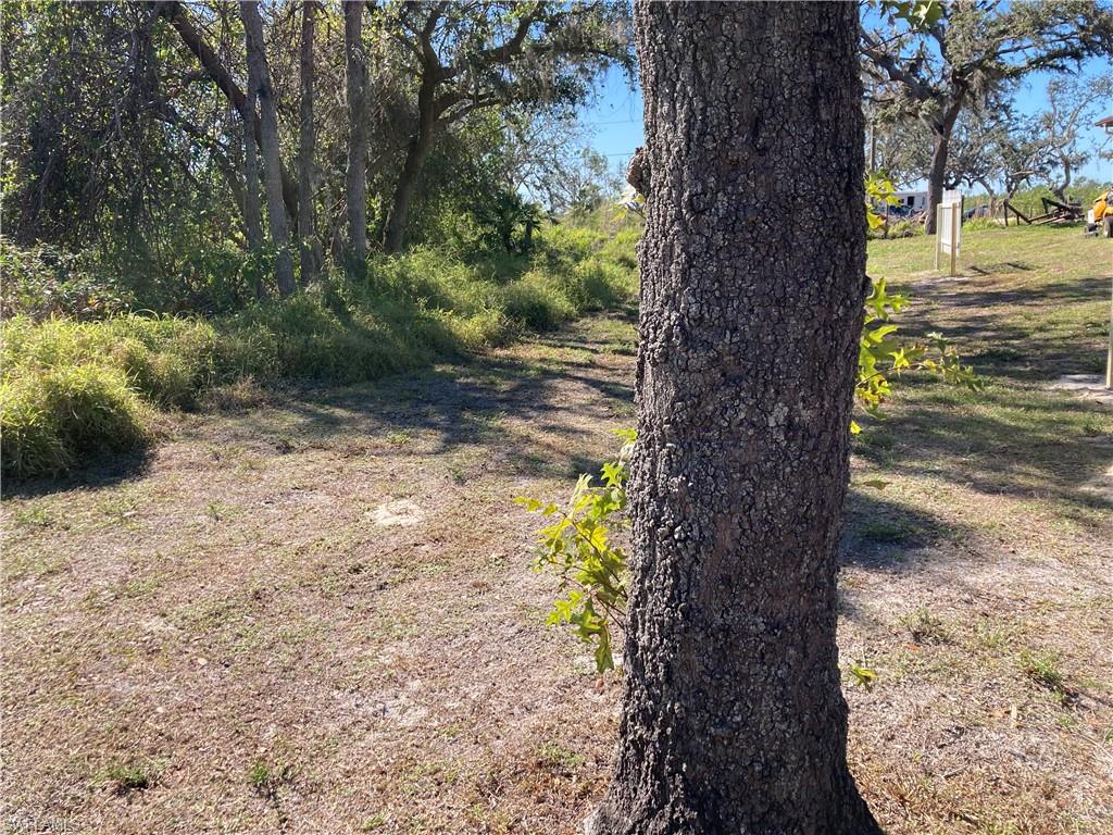 30445 Holly Road Punta Gorda, FL 33982 - Photo 9 of 15 a view of a yard with a tree