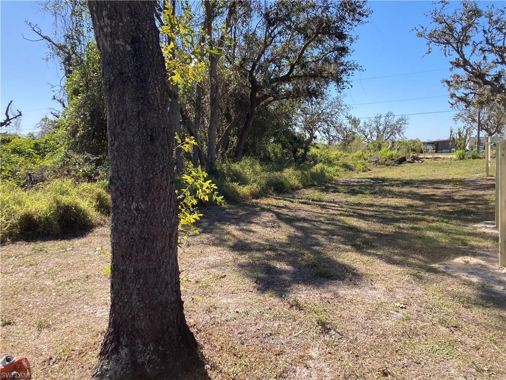 30445 Holly Road Punta Gorda, FL 33982 - Photo 10 of 15 a view of a yard with trees