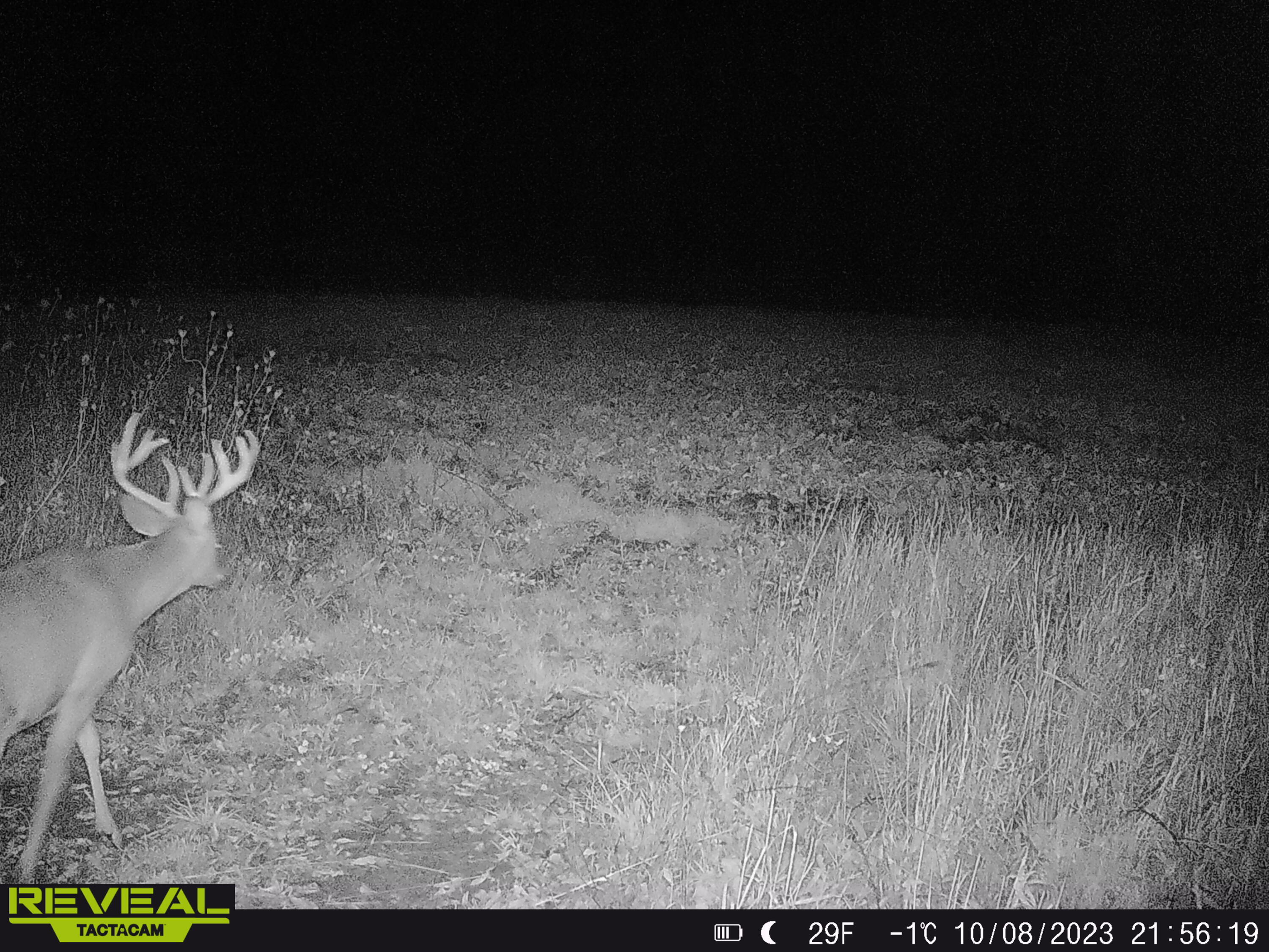 V/l South Rolland Road Blanchard, MI 49310 - Photo 12 of 26 SYEW1235