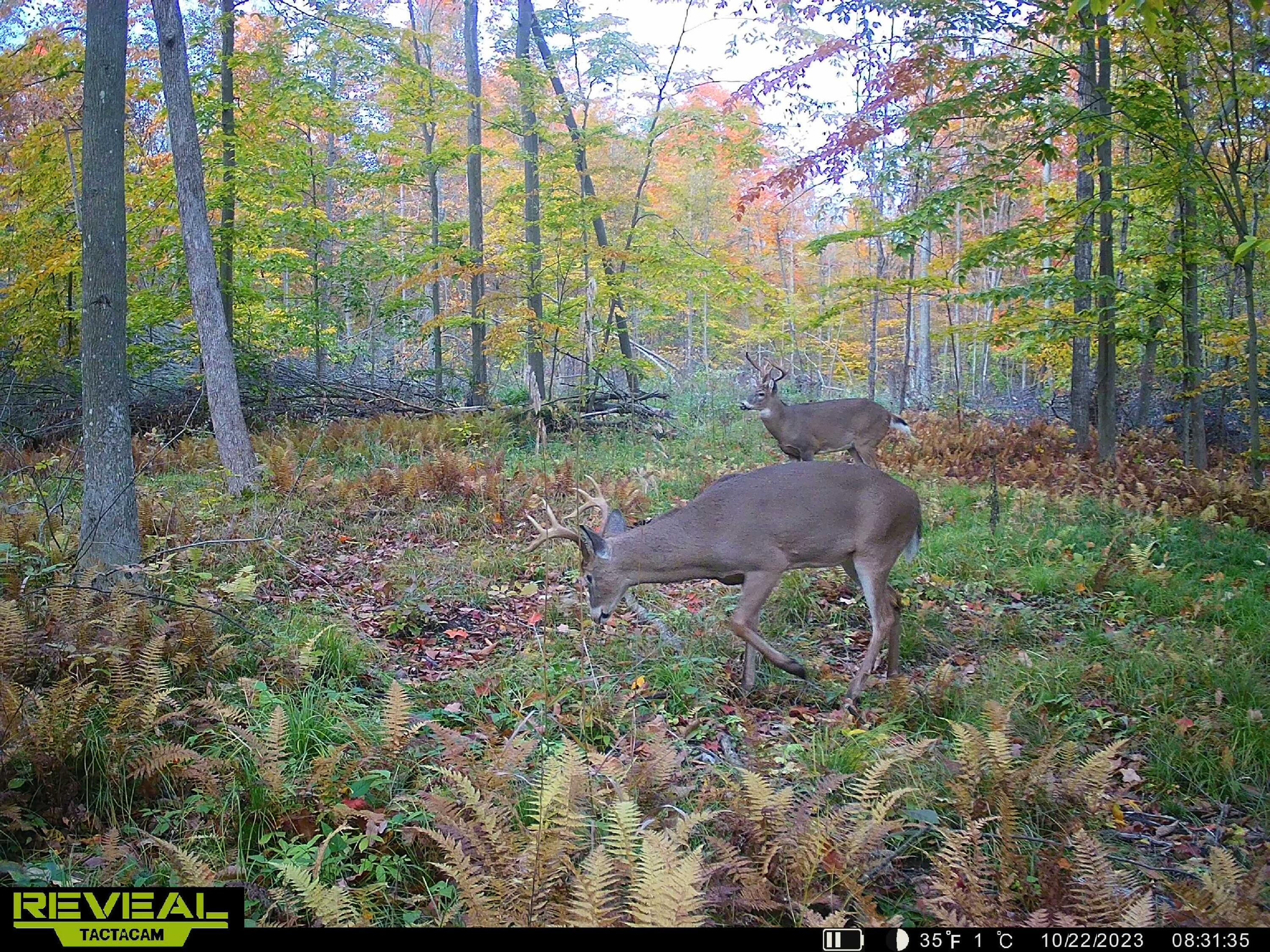 V/l South Rolland Road Blanchard, MI 49310 - Photo 14 of 26 SYEW2302a