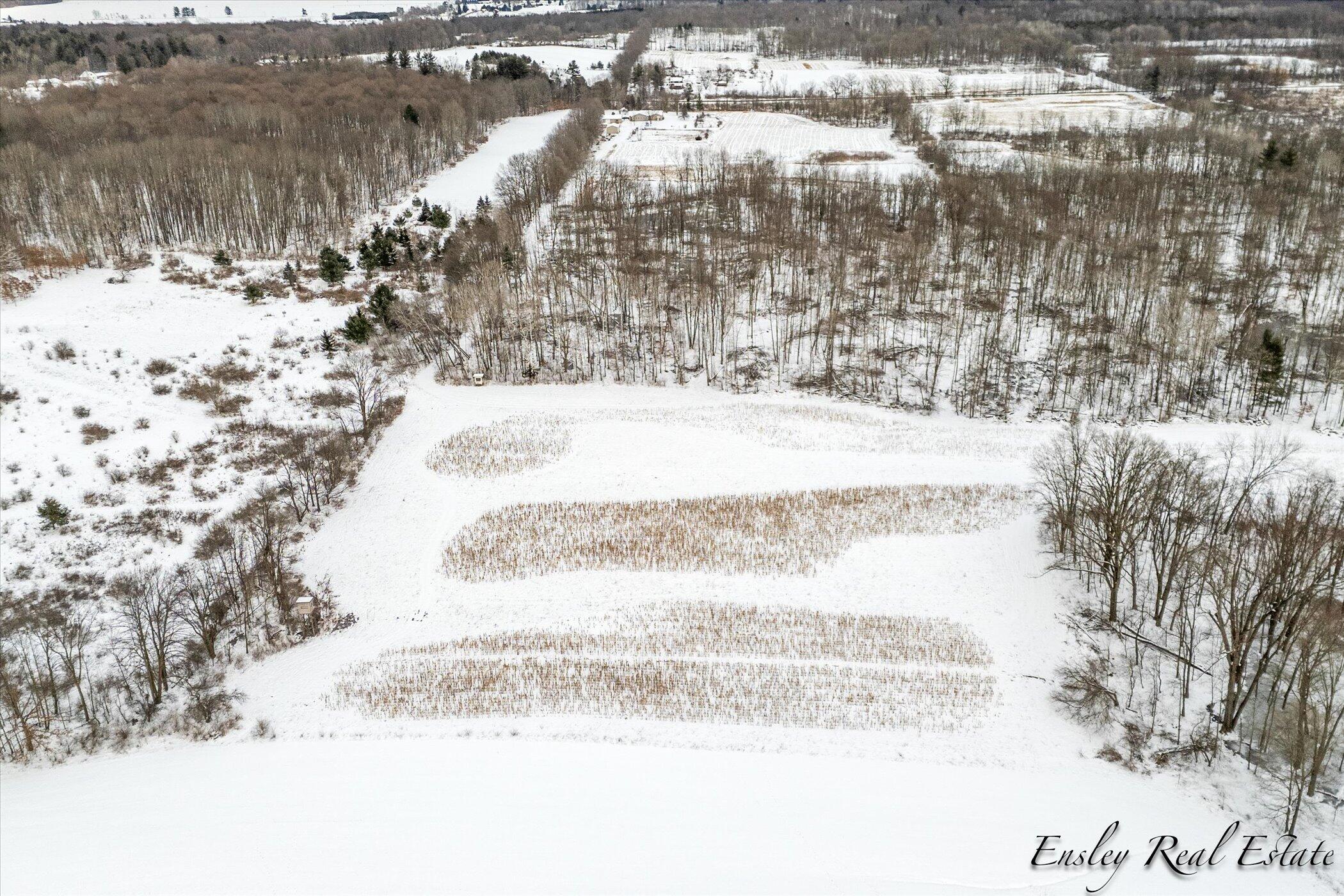 V/l South Rolland Road Blanchard, MI 49310 - Photo 15 of 26 08-8260-S-Rolland-Rd-WindowStill-Real-Es