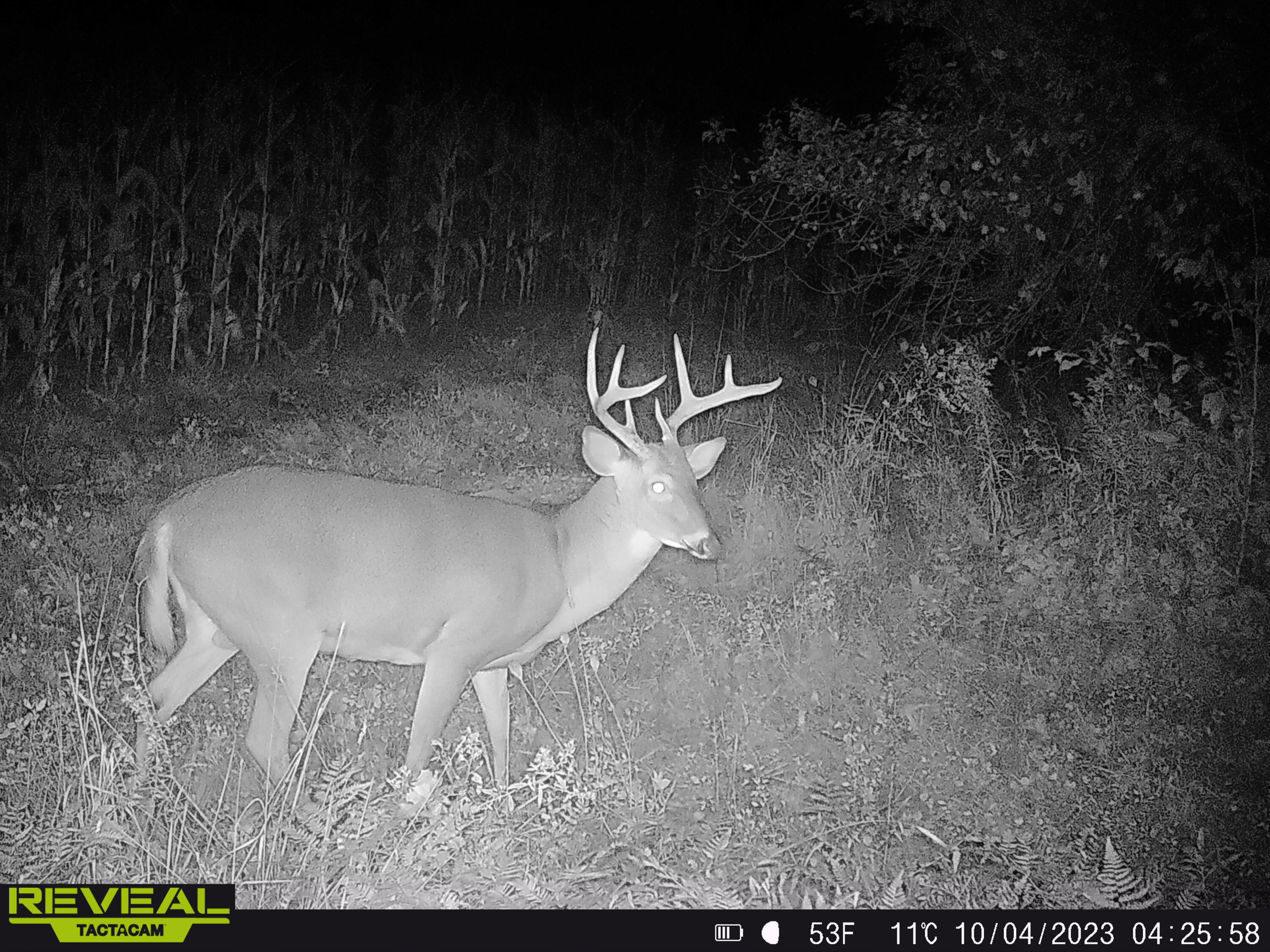 V/l South Rolland Road Blanchard, MI 49310 - Photo 16 of 26 SYEW2377