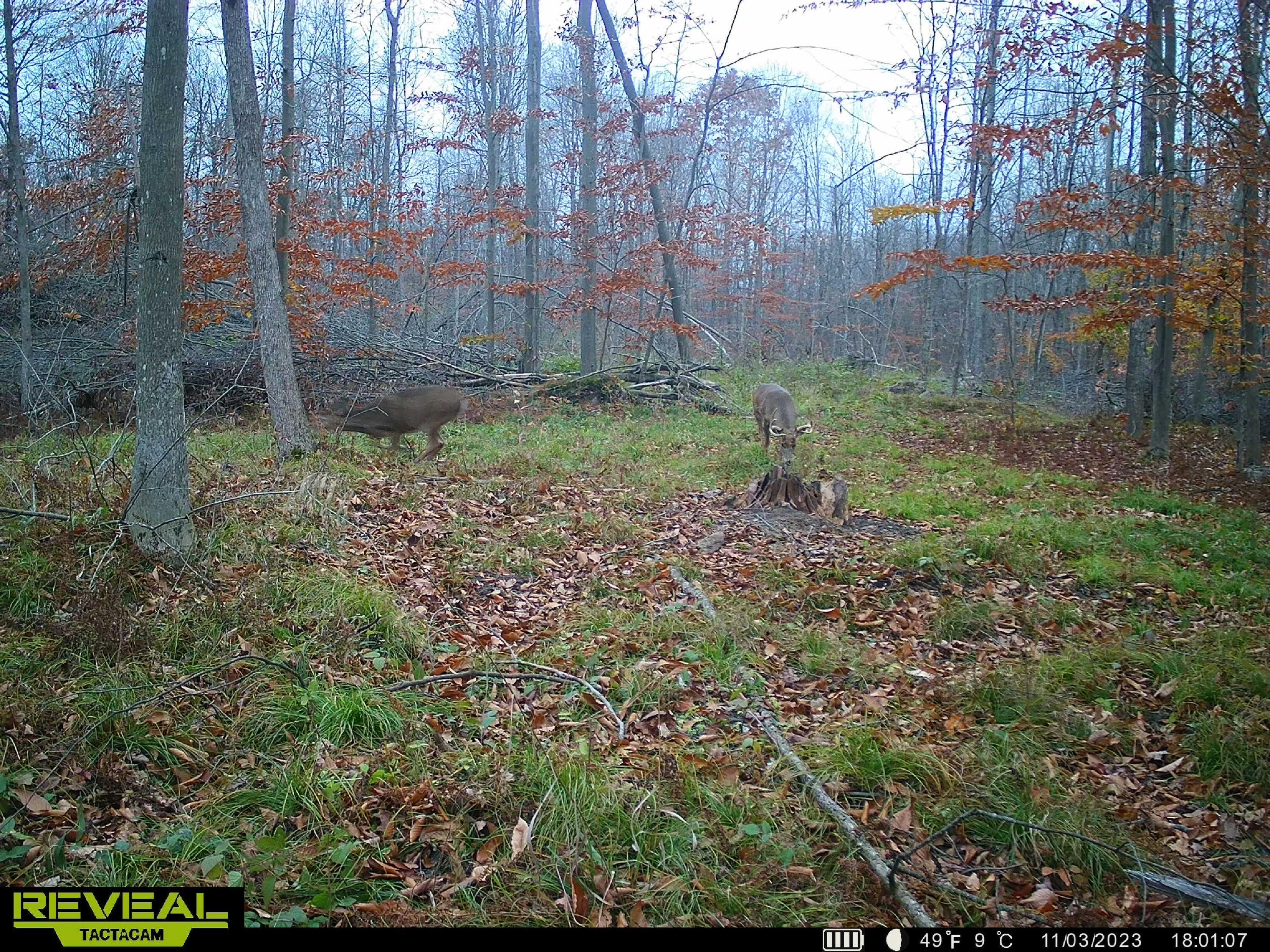 V/l South Rolland Road Blanchard, MI 49310 - Photo 25 of 26 SYEW3707