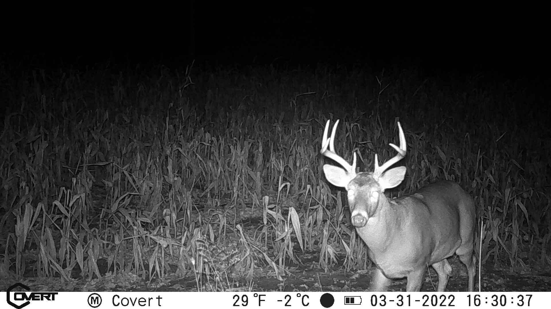 V/l South Rolland Road Blanchard, MI 49310 - Photo 4 of 26 PIRS0060