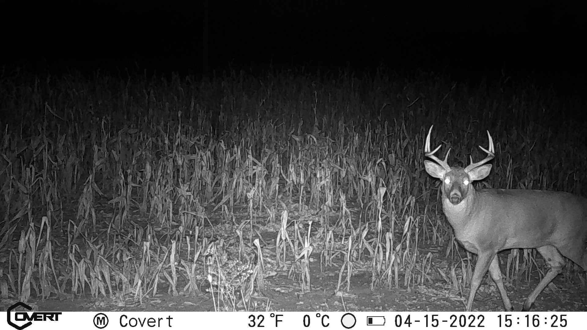 V/l South Rolland Road Blanchard, MI 49310 - Photo 6 of 26 PIRS0156