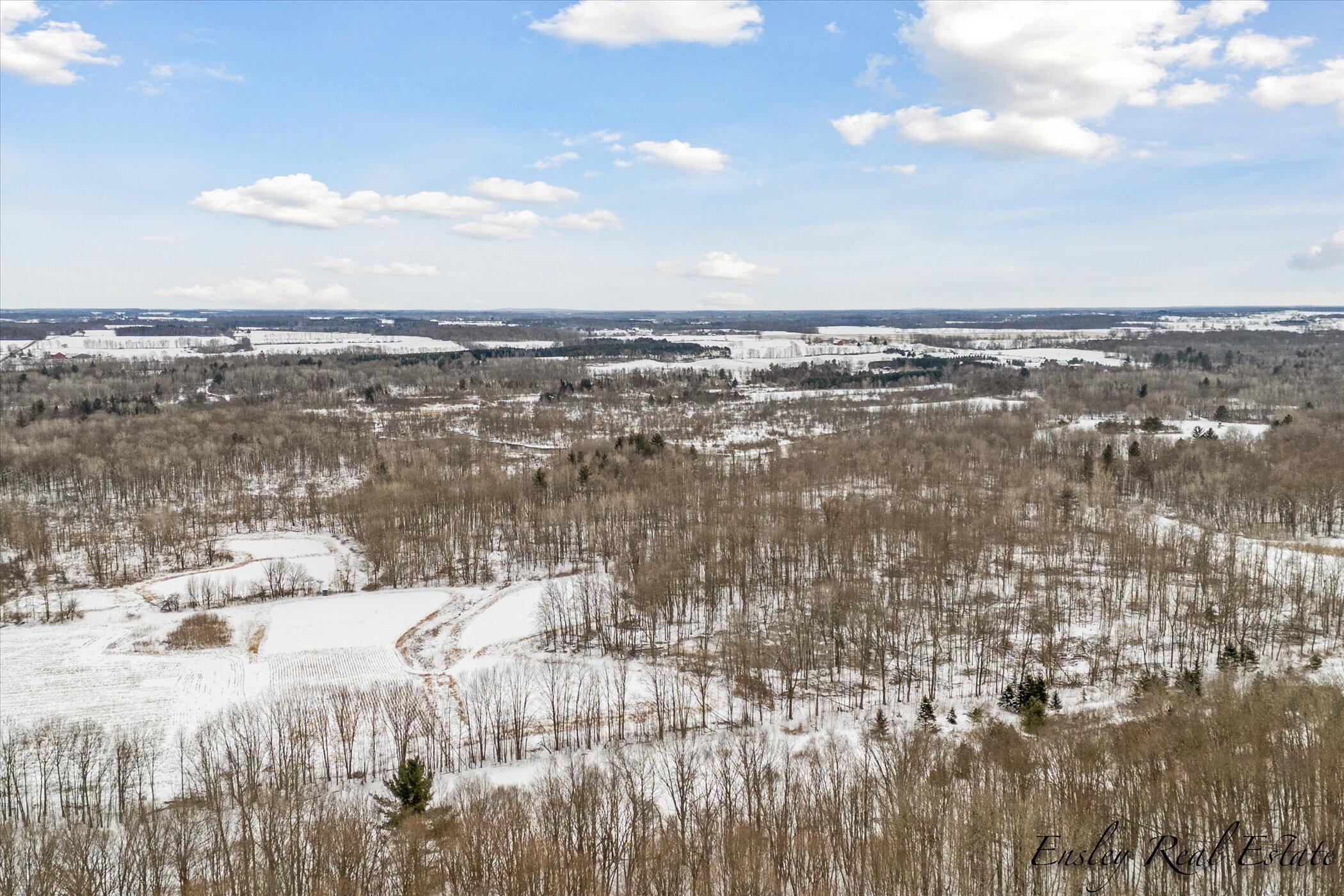 V/l South Rolland Road Blanchard, MI 49310 - Photo 7 of 26 04-8260-S-Rolland-Rd-WindowStill-Real-Es