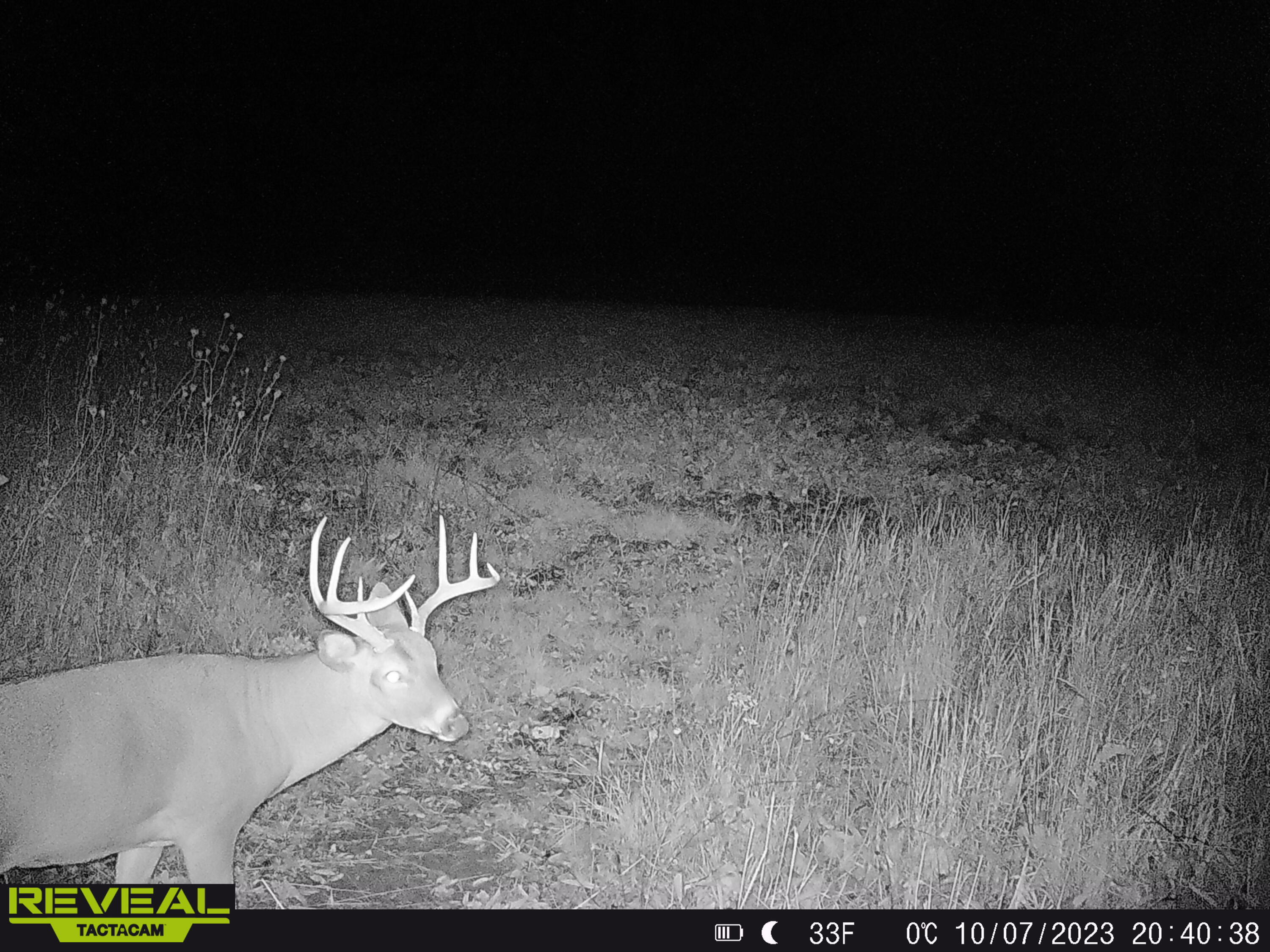 V/l South Rolland Road Blanchard, MI 49310 - Photo 8 of 26 SYEW1202 (1)