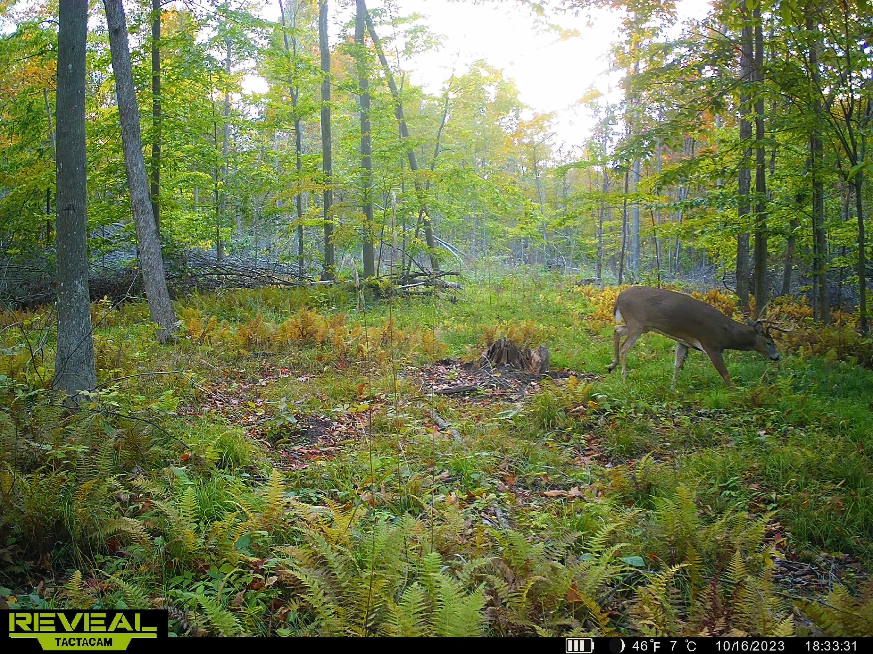 V/l South Rolland Road Blanchard, MI 49310 - Photo 10 of 26 SYEW2110