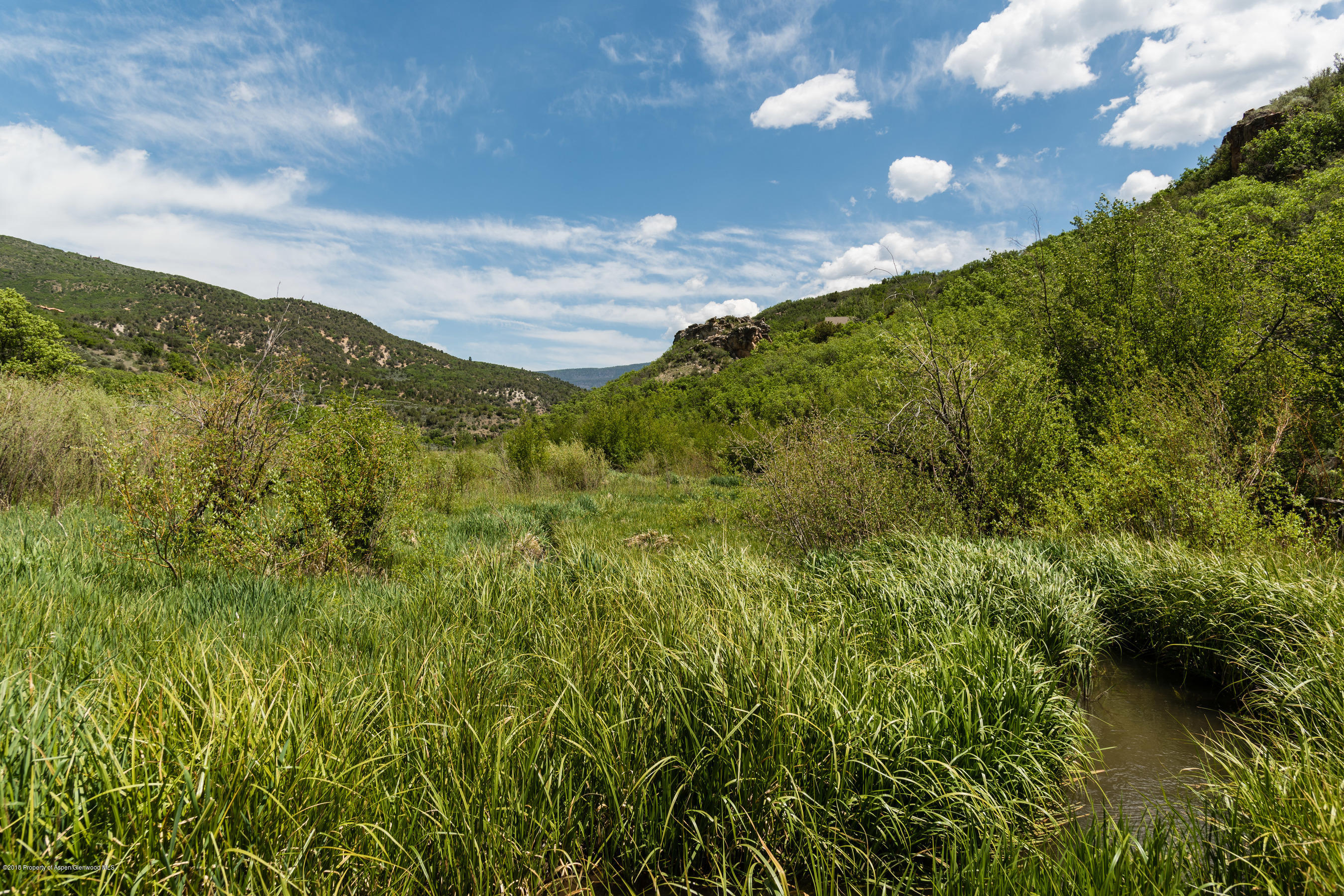 2555 West Sopris Creek Road Basalt, CO 81621 - Photo 33 of 43 2555wSoprisCreek_Med402