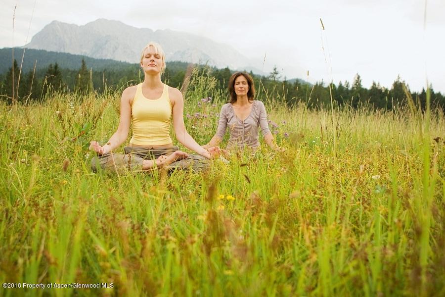 2555 West Sopris Creek Road Basalt, CO 81621 - Photo 34 of 43 Yoga