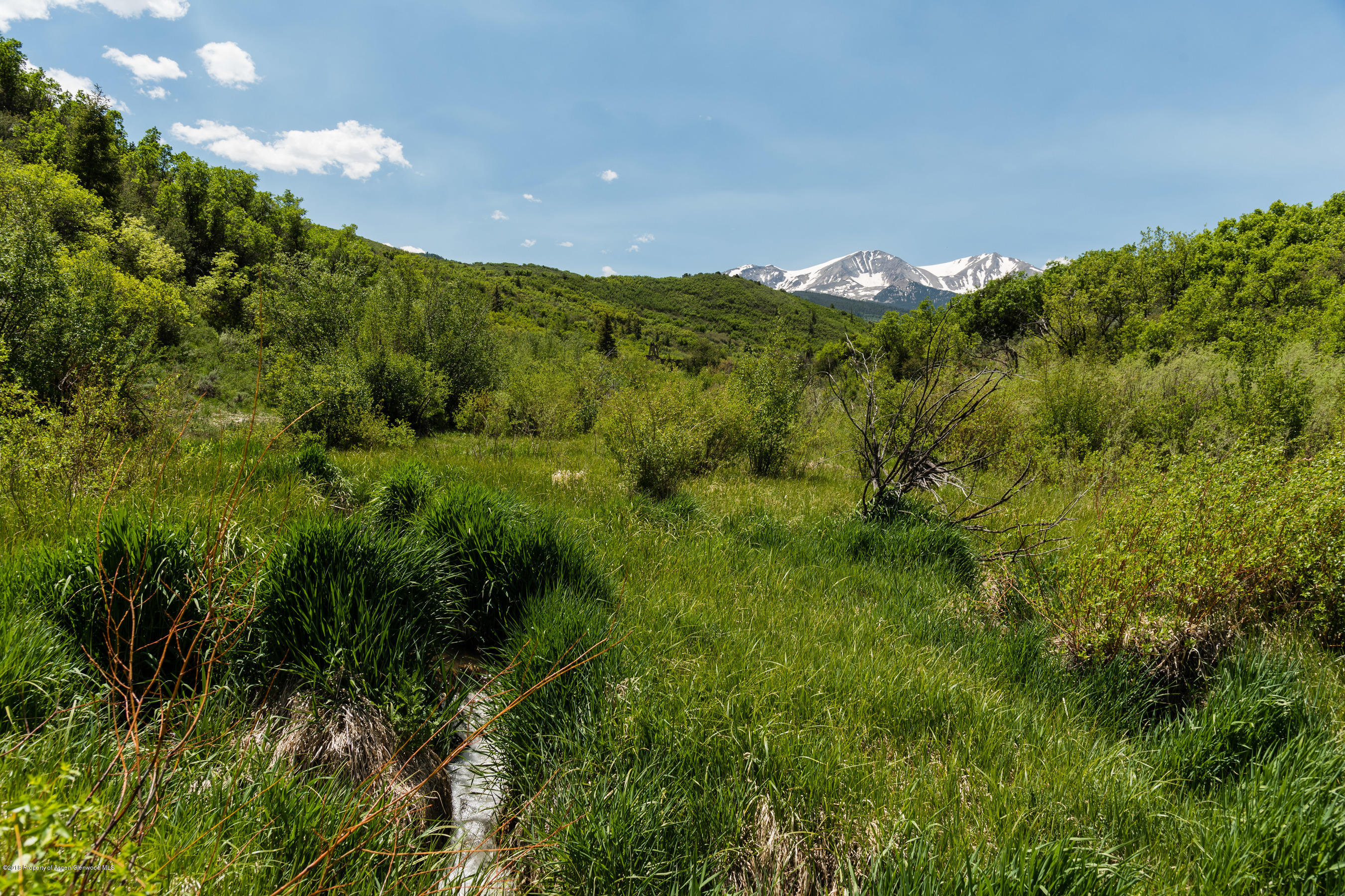 2555 West Sopris Creek Road Basalt, CO 81621 - Photo 35 of 43 2555wSoprisCreek_Med404