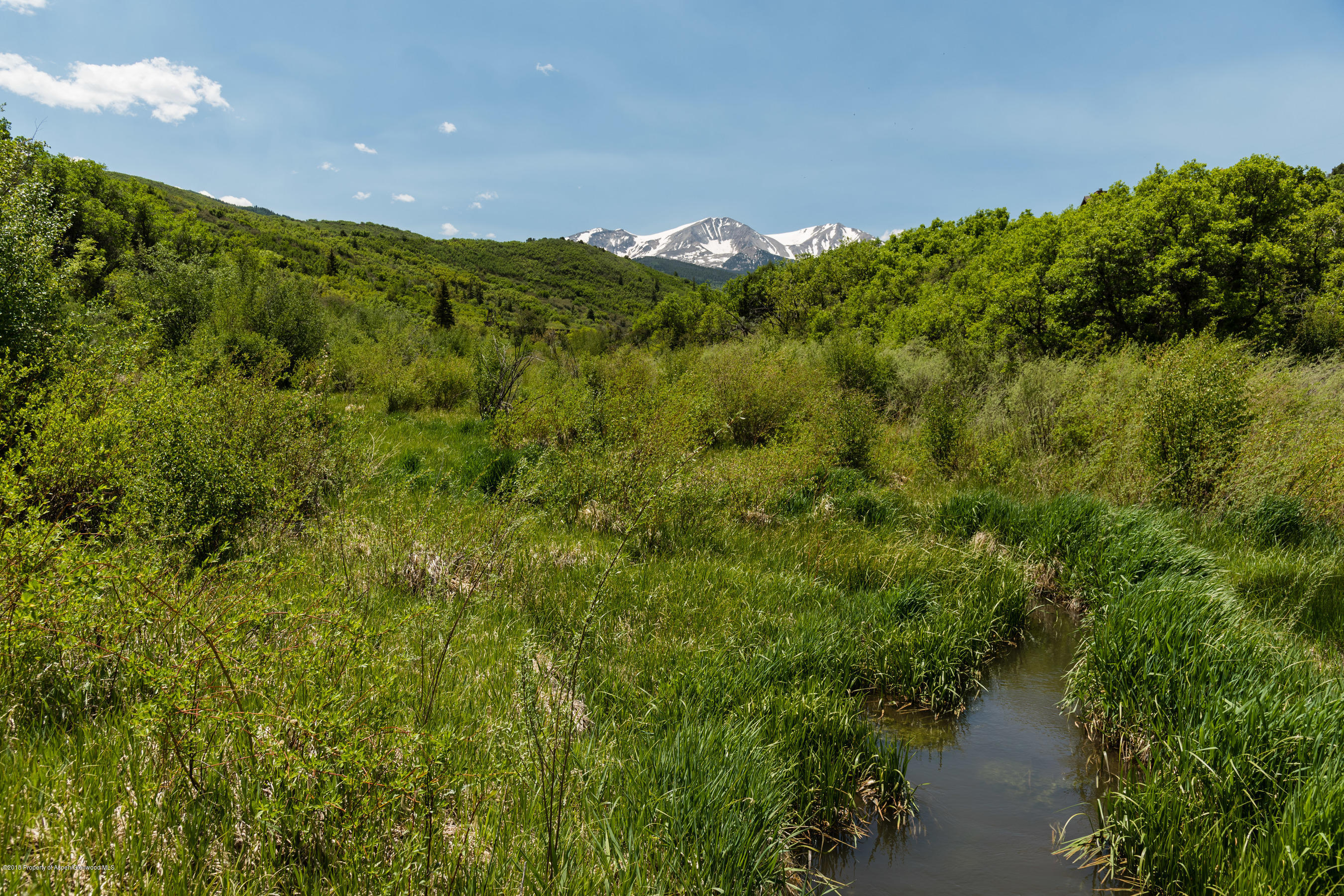 2555 West Sopris Creek Road Basalt, CO 81621 - Photo 36 of 43 2555wSoprisCreek_Med405