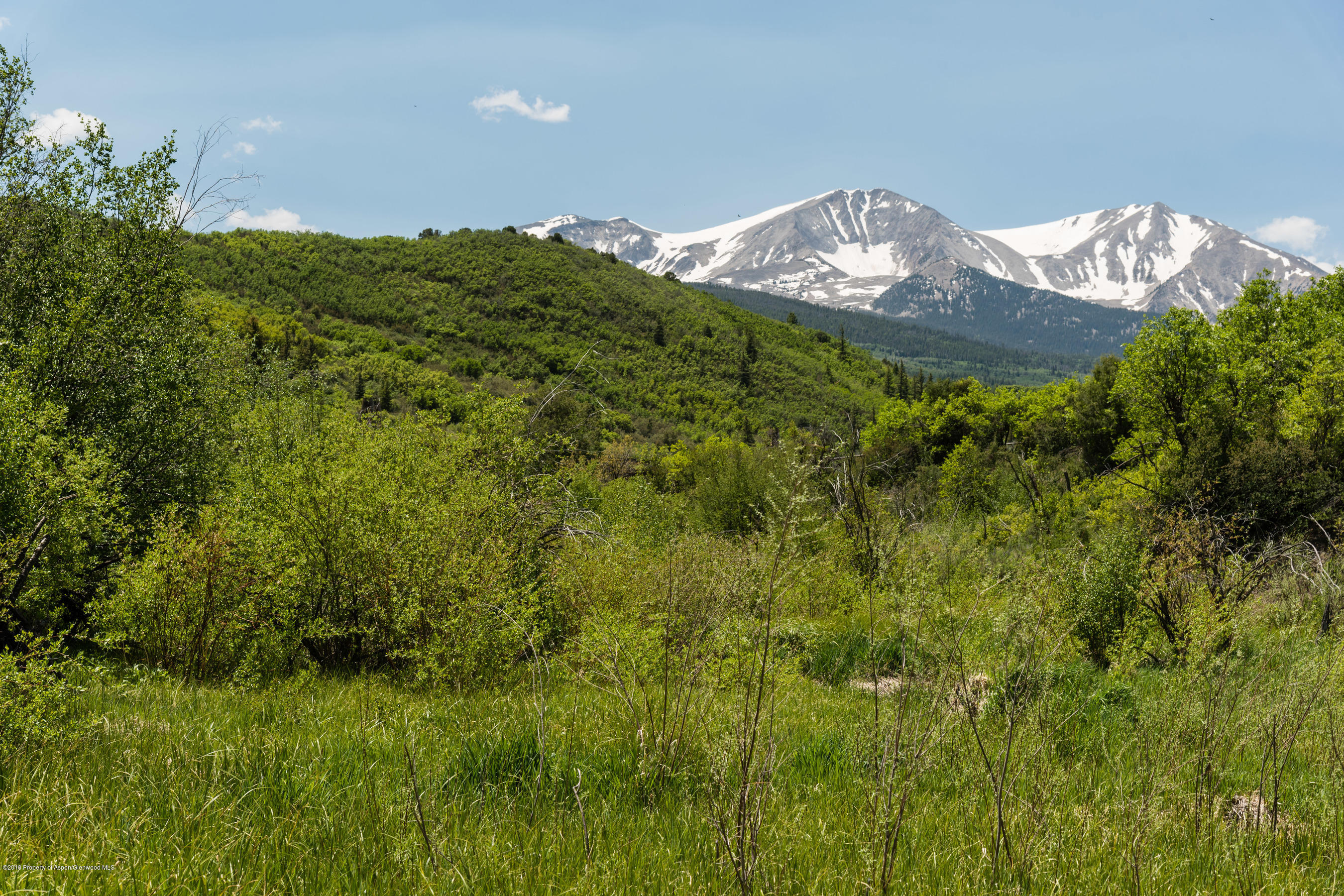 2555 West Sopris Creek Road Basalt, CO 81621 - Photo 37 of 43 2555wSoprisCreek_Med406