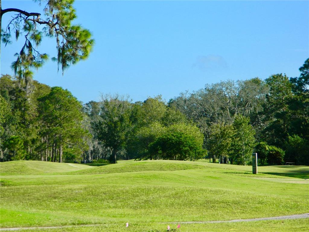 11931 Bayonet Lane New Port Richey, FL 34654 - Photo 20 of 20