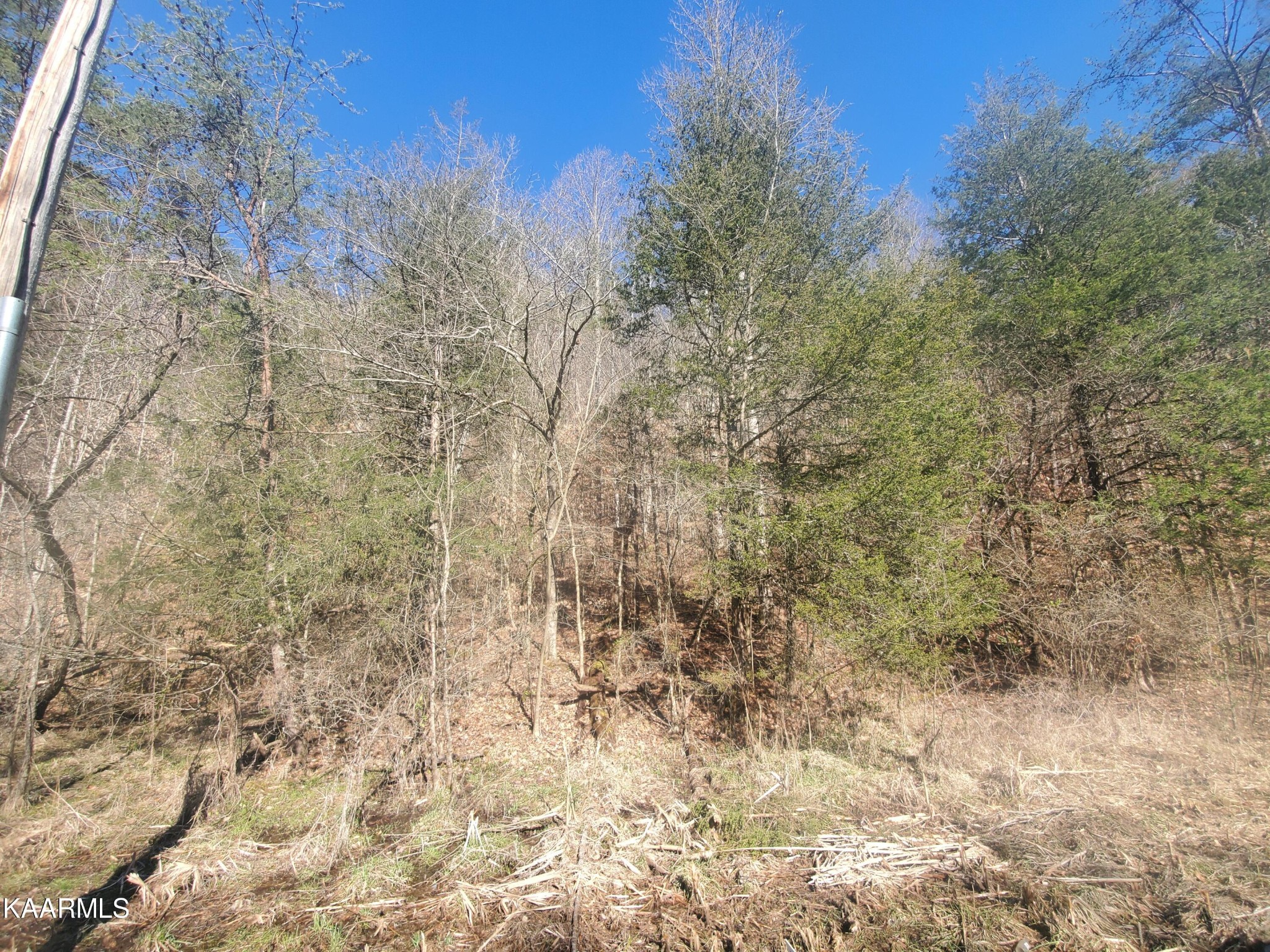 0 Walker Ford Road Maynardville, TN 37807 - Photo 10 of 17 Gallery Image 10