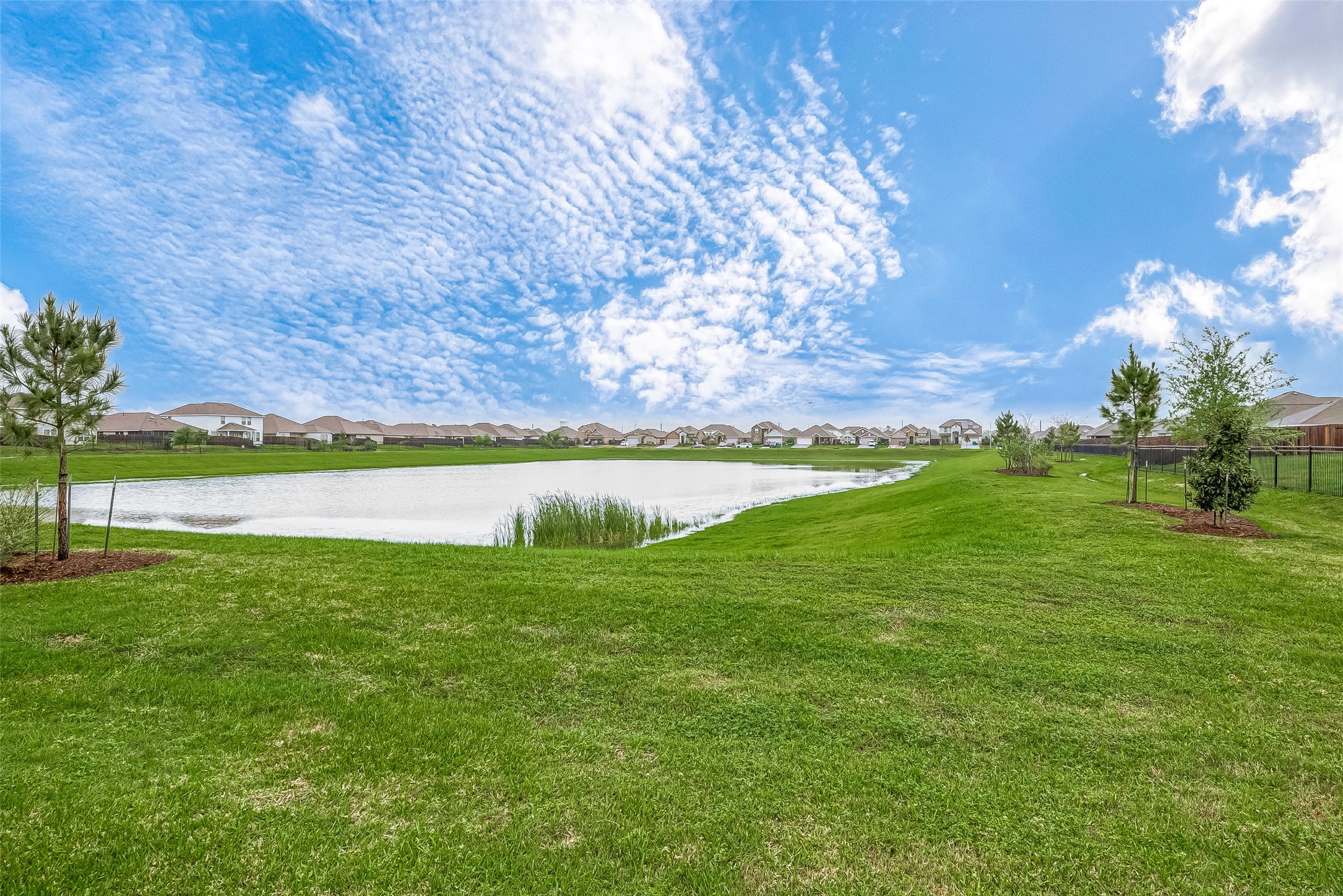 724 Cedar Gate Lane La Marque, TX 77568 - Photo 35 of 40 a view of a grassy field with an trees