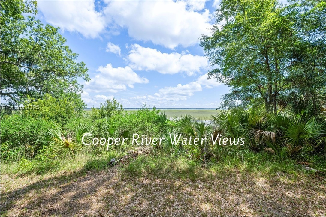 111 Carvin Road Daufuskie Island, SC 29915 - Photo 11 of 14