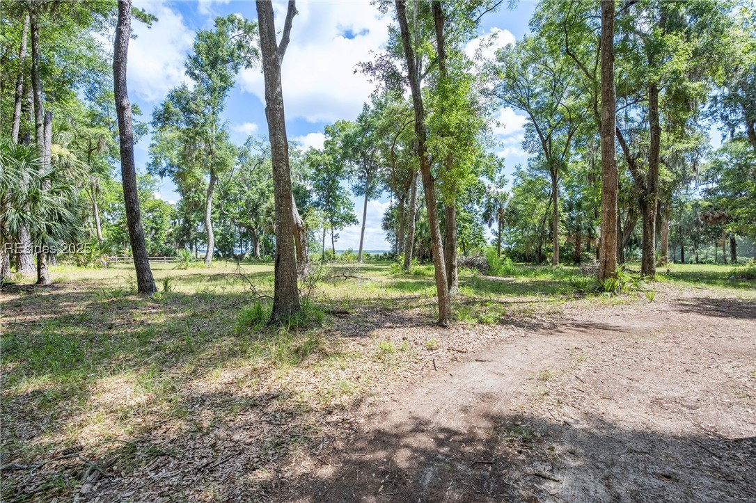 111 Carvin Road Daufuskie Island, SC 29915 - Photo 12 of 14
