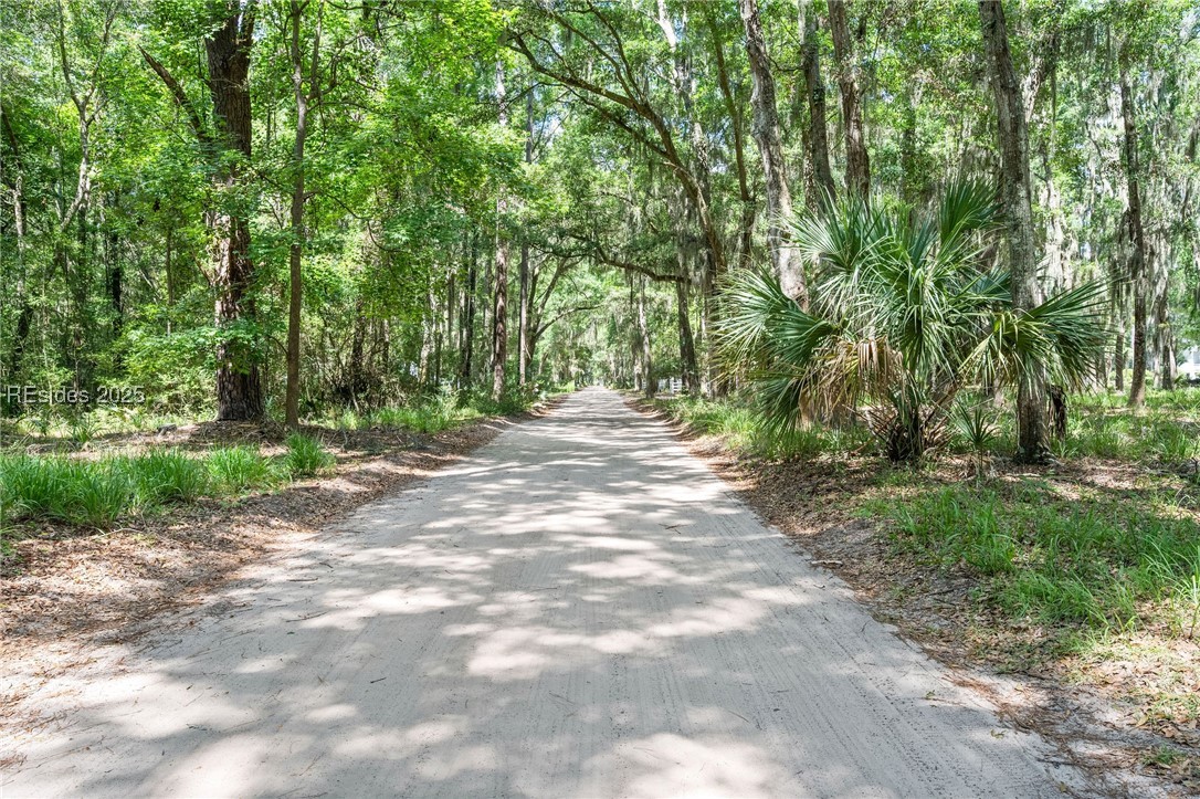 111 Carvin Road Daufuskie Island, SC 29915 - Photo 13 of 14