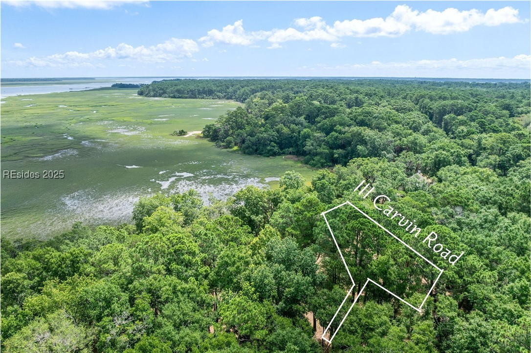 111 Carvin Road Daufuskie Island, SC 29915 - Photo 2 of 14
